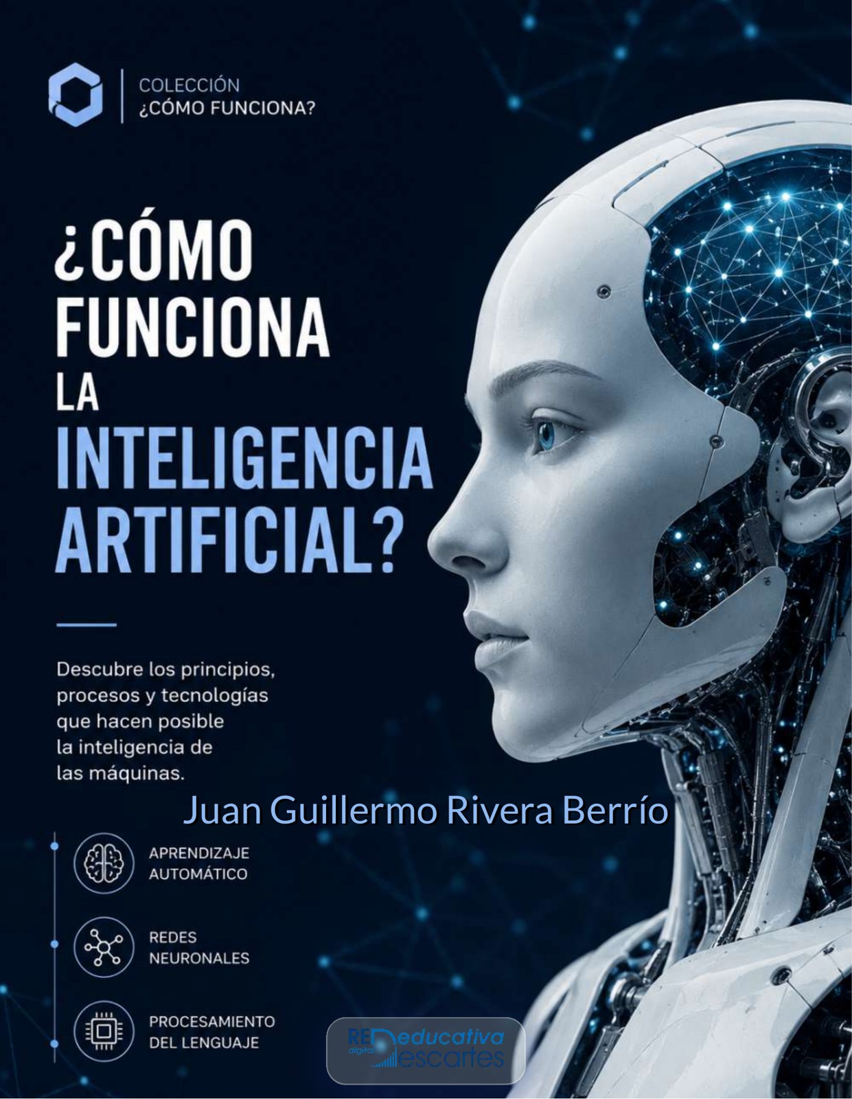 ¿CÓMO FUNCIONA UNA INTELIGENCIA ARTIFICIAL?
