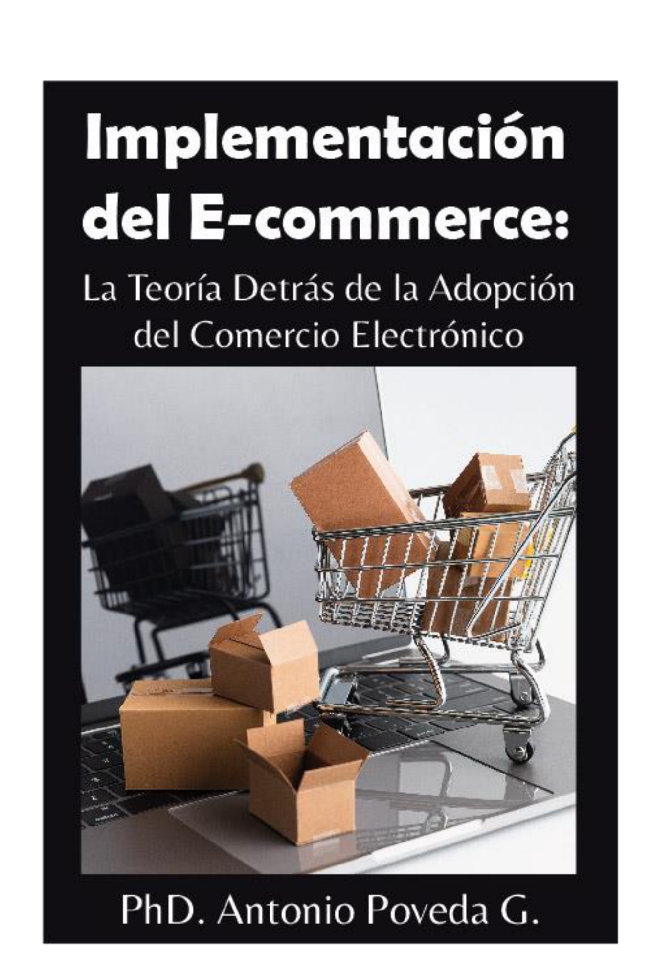 IMPLEMENTACIÓN DEL E-COMMERCE